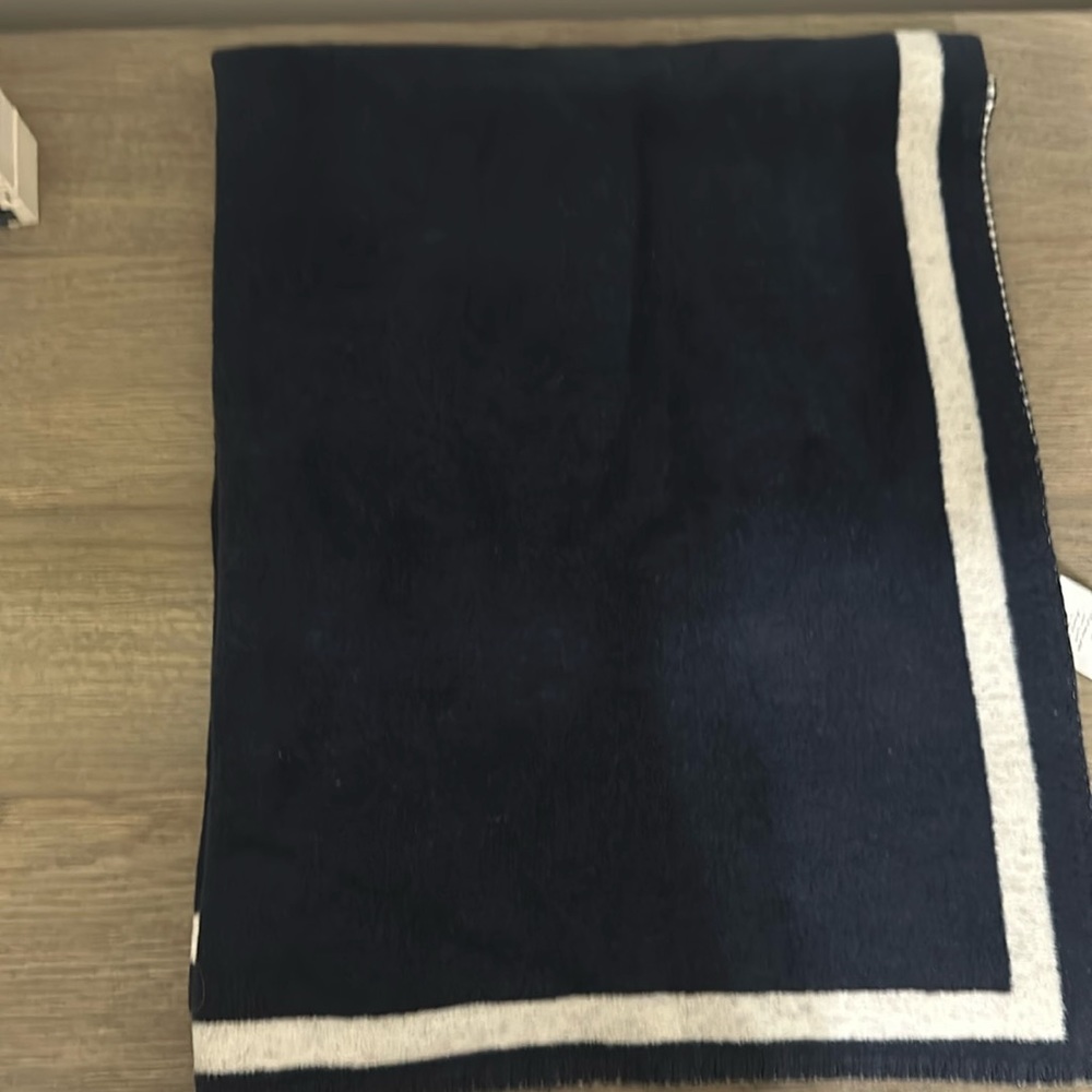Pottery Barn Navy and White Baby blamket.